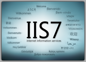 IIS 7 logo