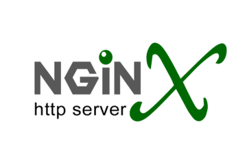 nginx logo