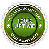 network-uptime-seal
