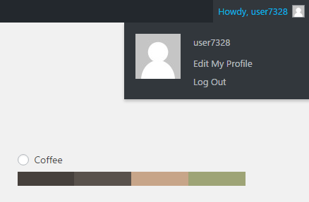 User Profile WordPress