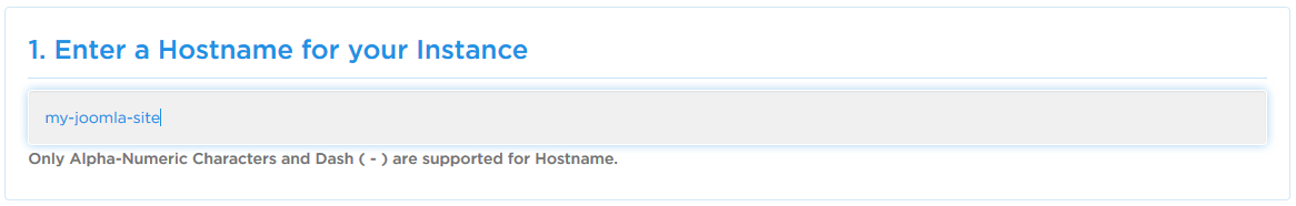 Instance Name