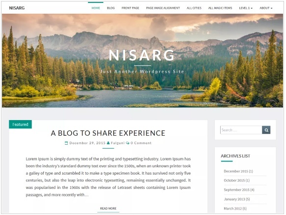 WordPress Themes: Nisarg