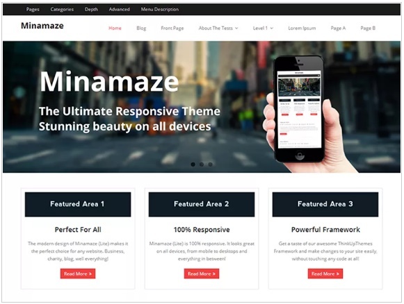 WordPress Themes: Minamaze