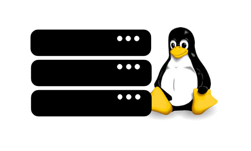 Manage a Linux Server